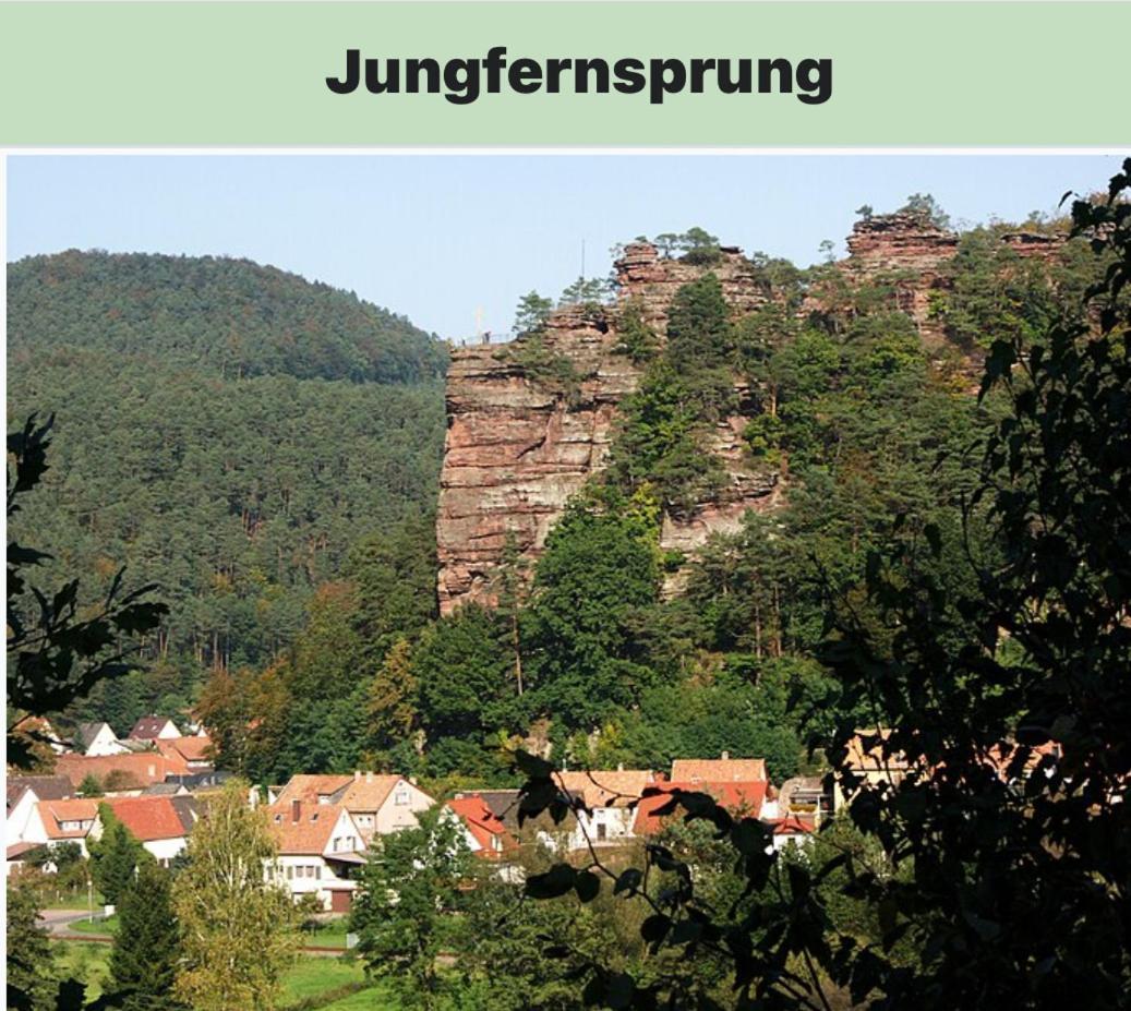 Ferienwohnung La Lauter Dahn Exterior foto